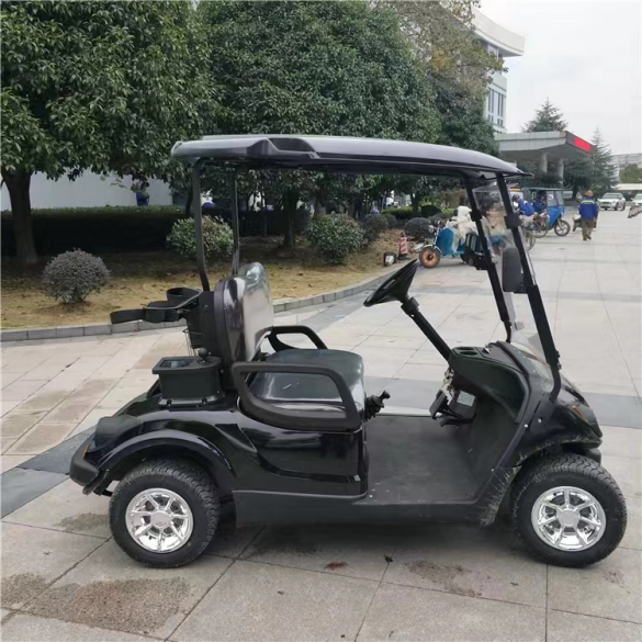 2+2 Seaters On Road Gasoline Powered Golf Carts
